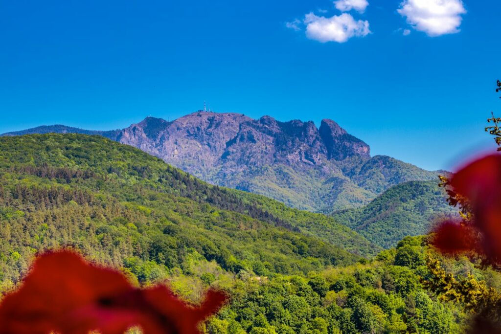 Priveliște